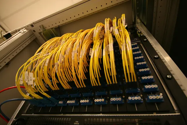 Rows of yellow fibre patch cables plugged into an optical patch panel in a rack.